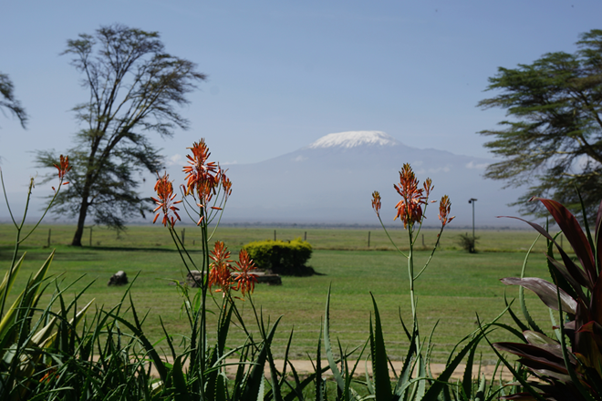 amboseli