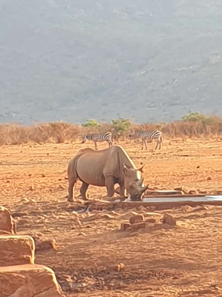 254704445574_status_17a8d58adce343a9a2948a88c0bfc72b