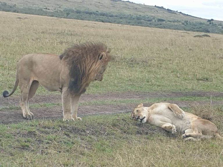 254704445574_status_1f0996e4fa7c4450acd36228bac6f5ad