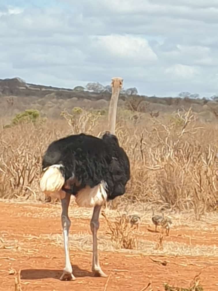 254704445574_status_54ddb9d90ad247d58a142502f973d08f