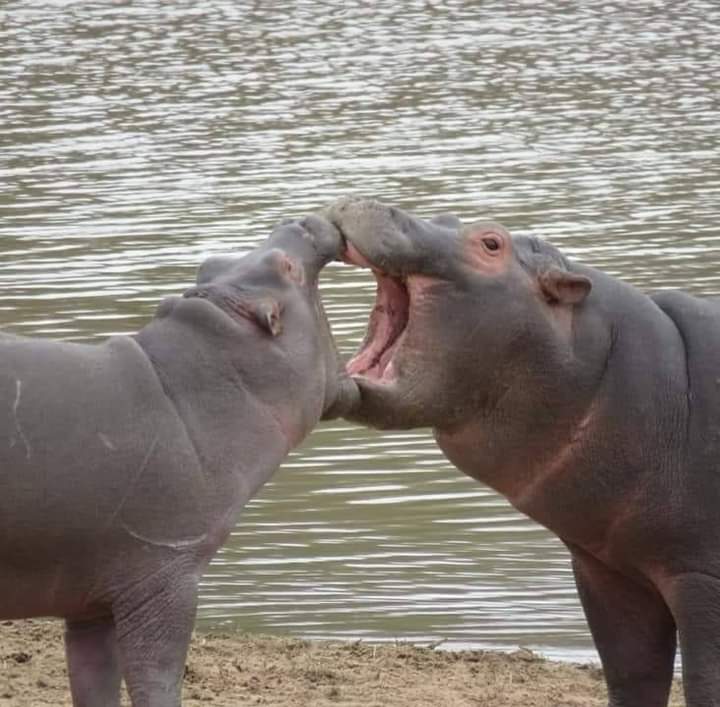 254720344901_status_b7cf31afc499419e81b7bc6f6d1a738e