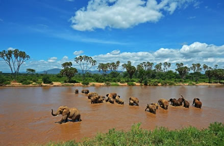 Samburu national park