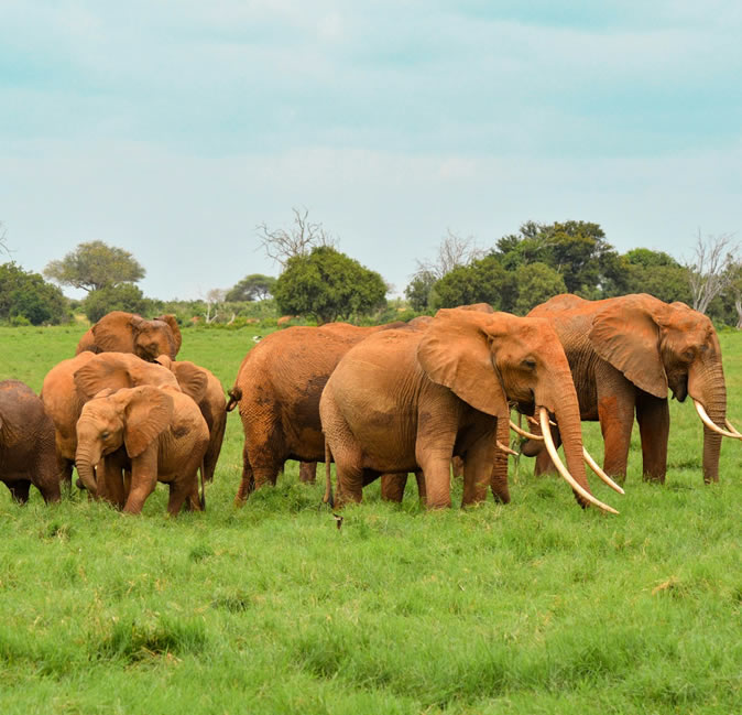 samburu national park