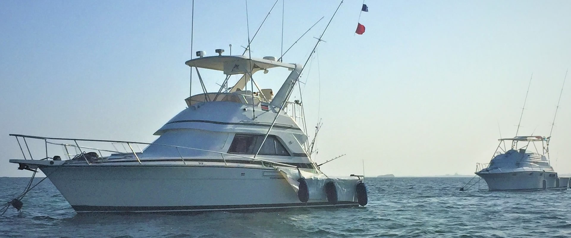 Yatch Cruising/Glass Boat Ride Experience