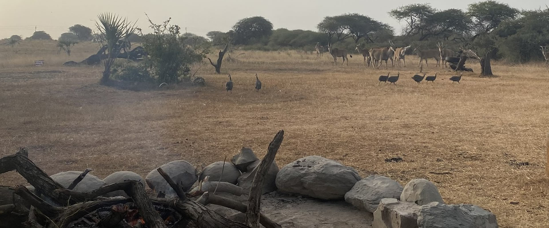 Nguuni Nature Sanctuary